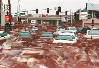 Automobiles are trapped in a deadly swirl of chocolate and vanilla Snak-Tyme pudding.